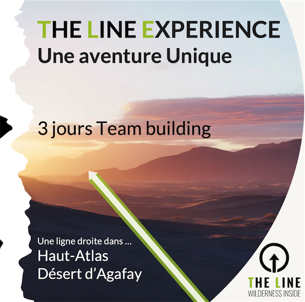 The Line Entreprise