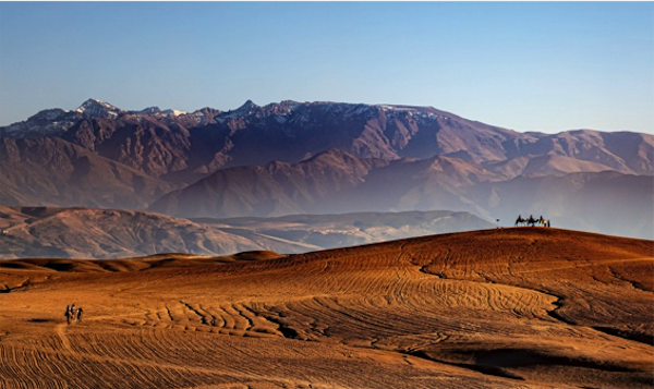 MAROC
