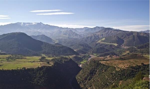 MAROC
